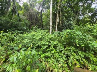 VENTA DE TERRENO EN COSTA ESTERILLOS ESTATES