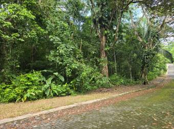VENTA DE TERRENO EN COSTA ESTERILLOS ESTATES