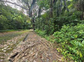 VENTA DE TERRENO EN COSTA ESTERILLOS ESTATES
