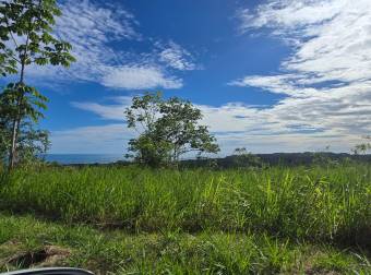 VENTA DE TERRENO EN COSTA ESTERILLOS ESTATES