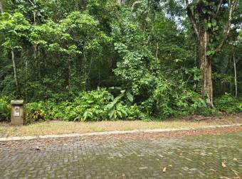 VENTA DE TERRENO EN COSTA ESTERILLOS ESTATES
