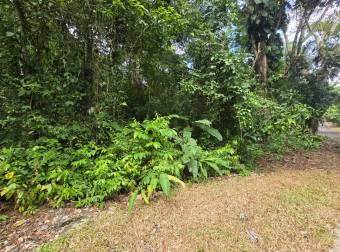 VENTA DE TERRENO EN COSTA ESTERILLOS ESTATES