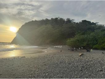 PREVENTA DE APARTAMENTOS, GUANACASTE, PLAYA COROZALITO -9803921