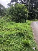 Lot in Quepos on main road