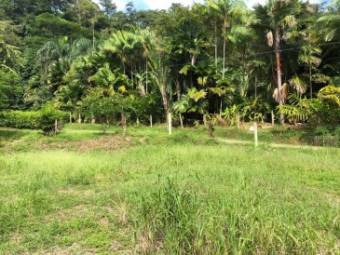 Flat lot for sale in Hatillo de Quepos. Excellent for construction. Negotiable price