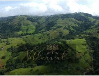 V#252 Amplia Finca en Venta/Hojancha-Guanacaste