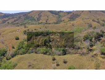 V#252 Amplia Finca en Venta/Hojancha-Guanacaste