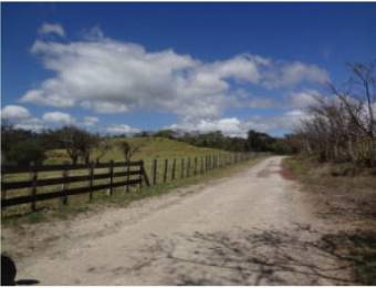 V#210 Maravillosa Finca en Venta/Guanacaste