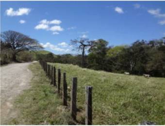 V#210 Maravillosa Finca en Venta/Guanacaste