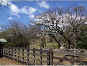 V#210 Maravillosa Finca en Venta/Guanacaste