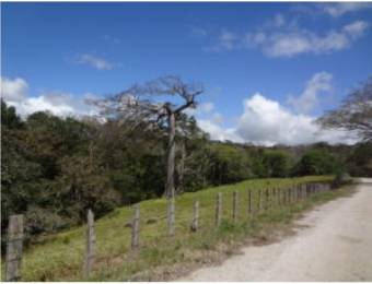 V#210 Maravillosa Finca en Venta/Guanacaste