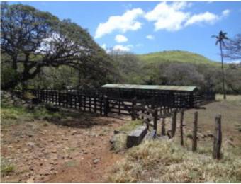 V#210 Maravillosa Finca en Venta/Guanacaste