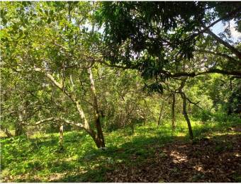 V#75 Espectacular Lote en venta/ San Mateo- Alajuela