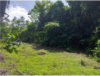 V#75 Espectacular Lote en venta/ San Mateo- Alajuela