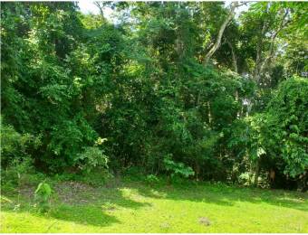 V#75 Espectacular Lote en venta/ San Mateo- Alajuela