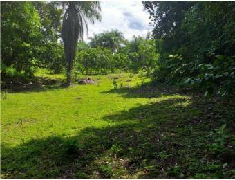 V#75 Espectacular Lote en venta/ San Mateo- Alajuela