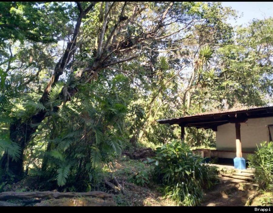 Quinta en Carrizal de Alajuela