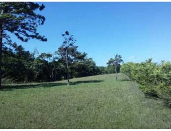 V#97 Espectacular Lote en Venta/Guanacaste