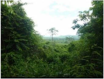 V#205 Amplia Finca en Venta/Guanacaste