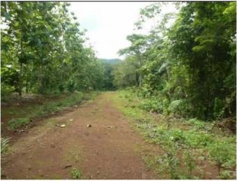 V#205 Amplia Finca en Venta/Guanacaste