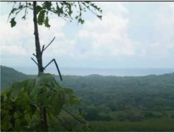 V#205 Amplia Finca en Venta/Guanacaste