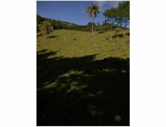 V#203 Majestuosa Finca en Venta para Inversión/Alajuela