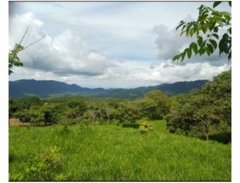 V#202 Bella Finca en Venta/Guanacaste