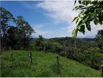 V#201 Maravillosa Finca en Venta/Guanacaste