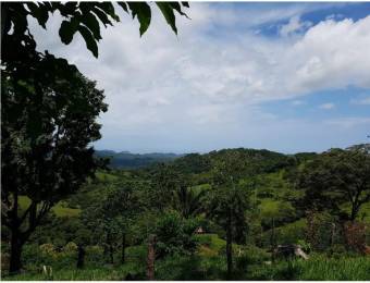 V#201 Maravillosa Finca en Venta/Guanacaste