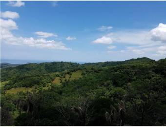 V#201 Maravillosa Finca en Venta/Guanacaste