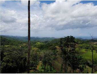 V#201 Maravillosa Finca en Venta/Guanacaste