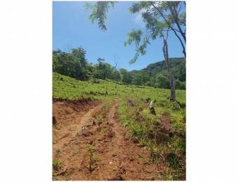 V#201 Maravillosa Finca en Venta/Guanacaste