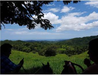 V#201 Maravillosa Finca en Venta/Guanacaste