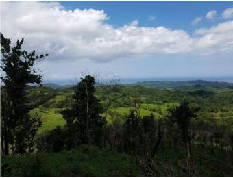 V#201 Maravillosa Finca en Venta/Guanacaste