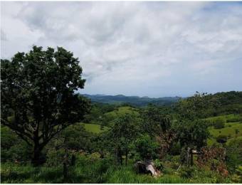 V#201 Maravillosa Finca en Venta/Guanacaste