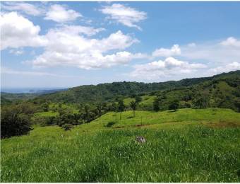 V#201 Maravillosa Finca en Venta/Guanacaste