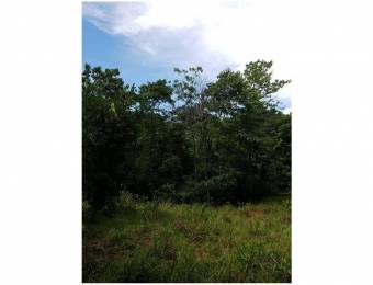 V#201 Maravillosa Finca en Venta/Guanacaste