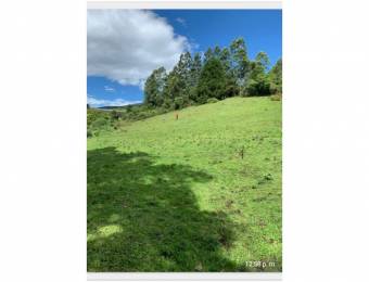 V#196 Hermoso Lote en Venta/ Alajuela