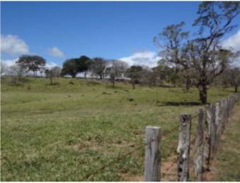 V#210 Maravillosa Finca en Venta/Guanacaste