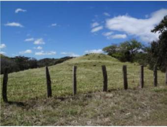 V#210 Maravillosa Finca en Venta/Guanacaste