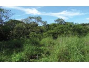 V#209 Esplendorosa Finca en Venta/Guanacaste