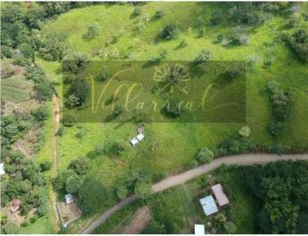 V#252 Amplia Finca en Venta/Hojancha-Guanacaste