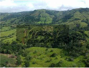 V#252 Amplia Finca en Venta/Hojancha-Guanacaste