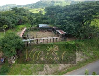 V#252 Amplia Finca en Venta/Hojancha-Guanacaste