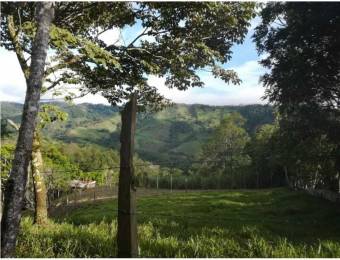 V#280 Hermoso Lote en venta/ Puriscal