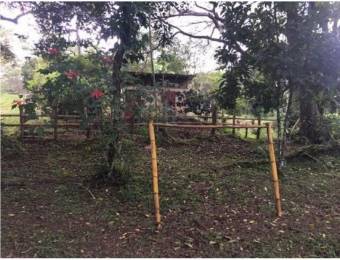 V#277 Magnífica Finca en Venta/Puriscal