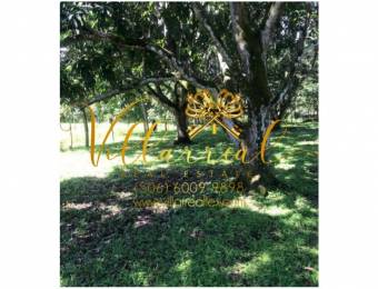 V#279 Extraordinario Lote en Venta/Orotina