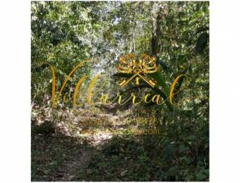 V#290 Espectacular Finca en Venta/Guanacaste