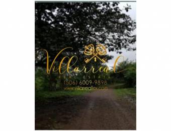 V#288 Grandiosa Finca en Venta/Guanacaste