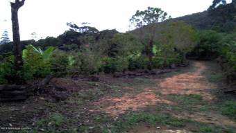 Bellísima Finca  en  Venta, Tarrazu  CG-20-1739